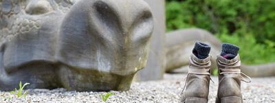Supervision individuelle avec méthodes créatives